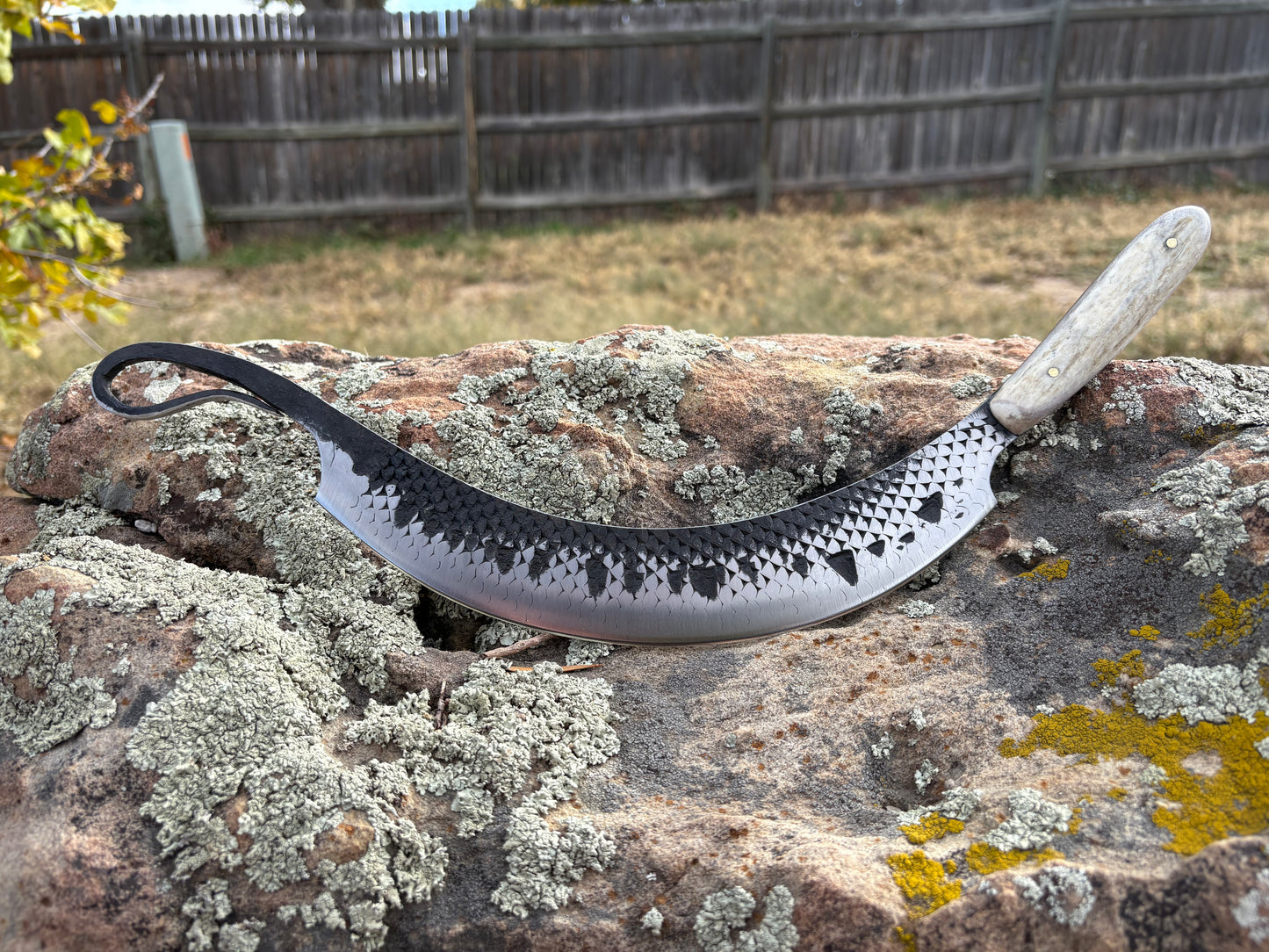 #203 Carne Asada Knife