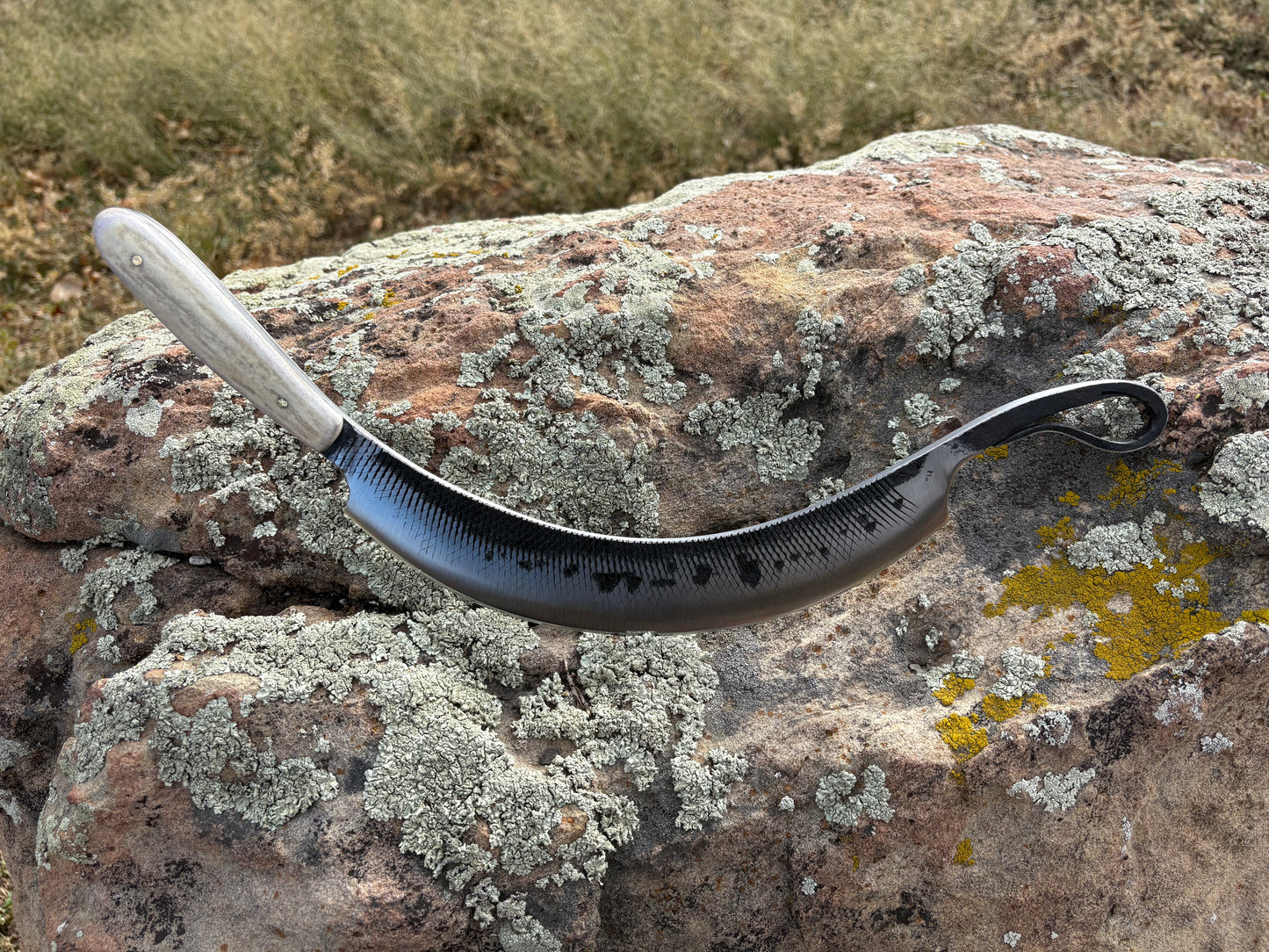 #203 Carne Asada Knife