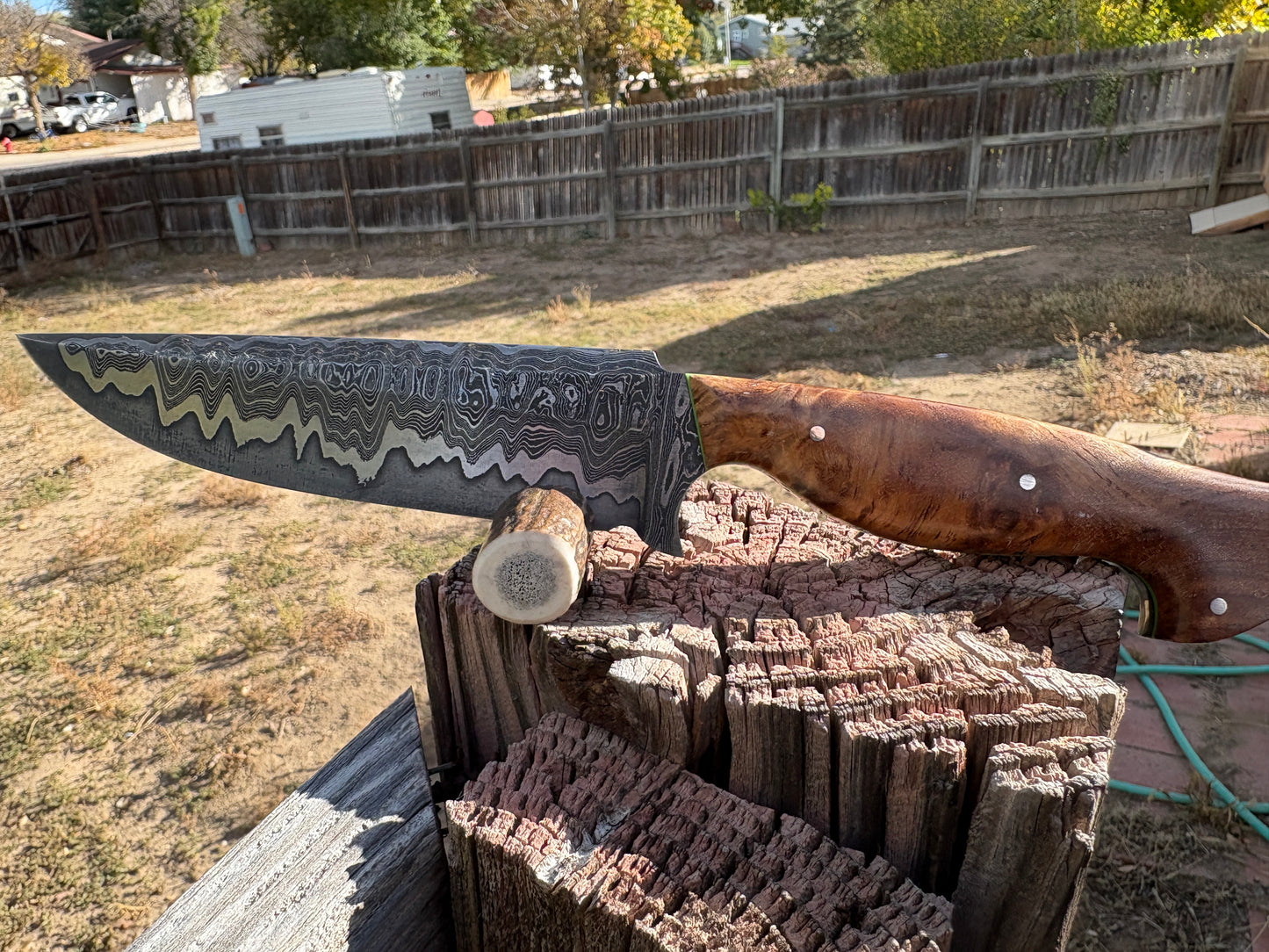 #263 San-Mascus Harpoon Fighting Knife