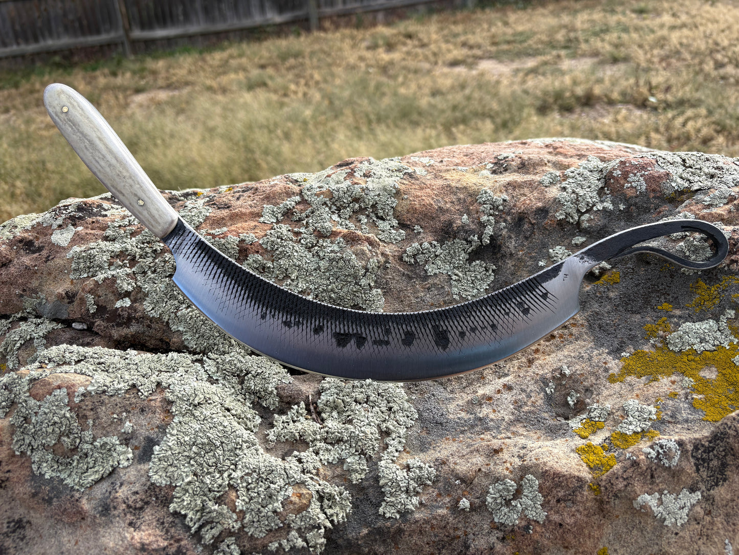 #203 Carne Asada Knife