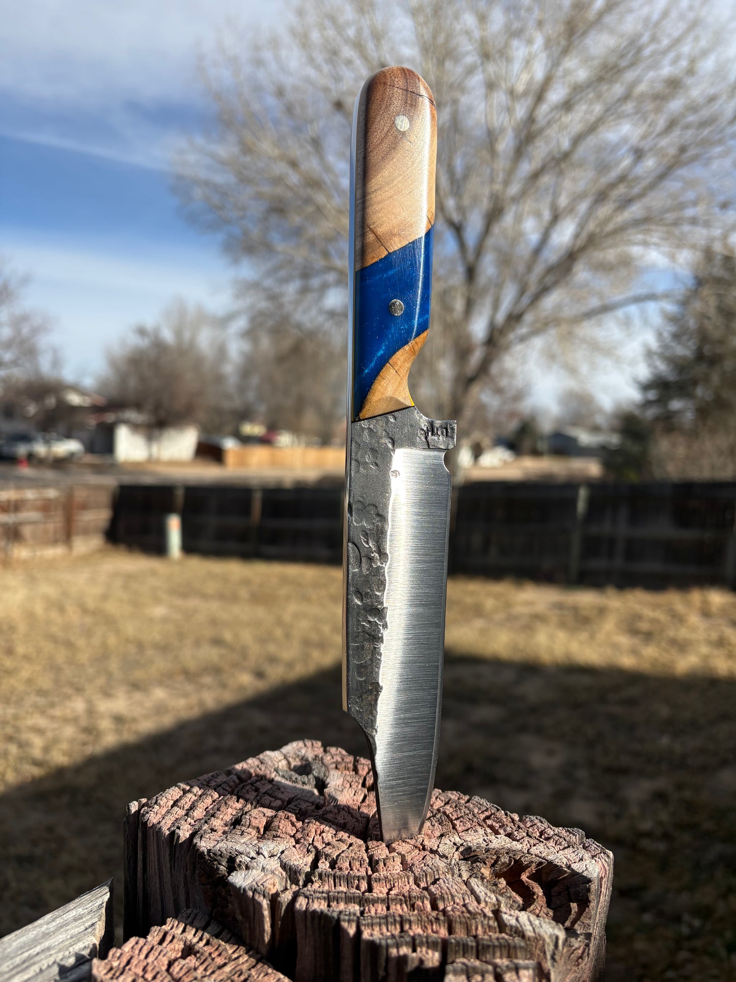 #184 David Bowie Jr.