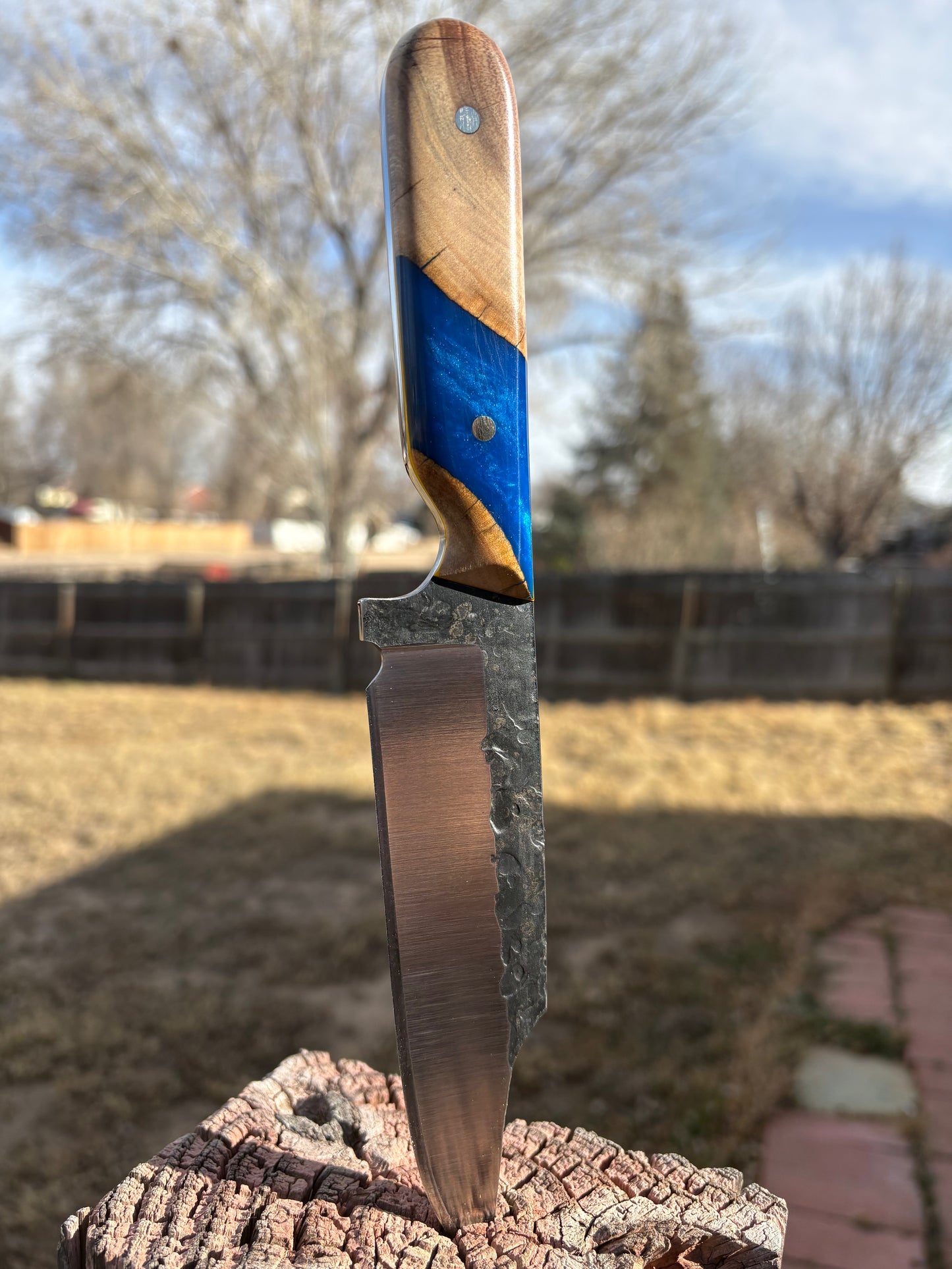 #184 David Bowie Jr.