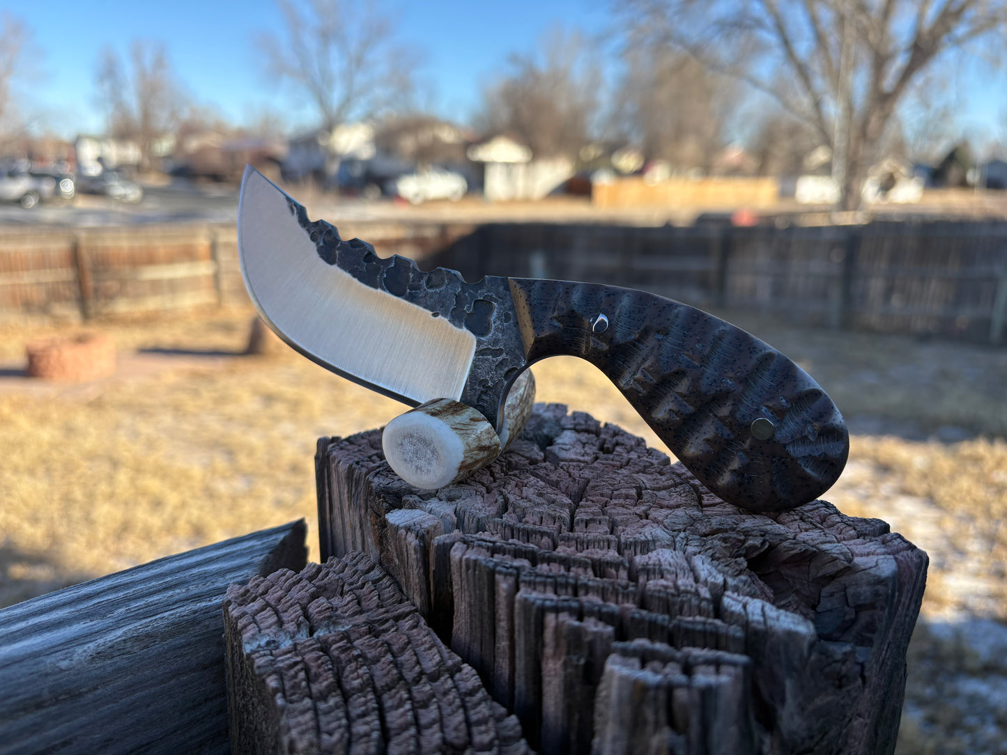 #216 - Round Palm Skinner