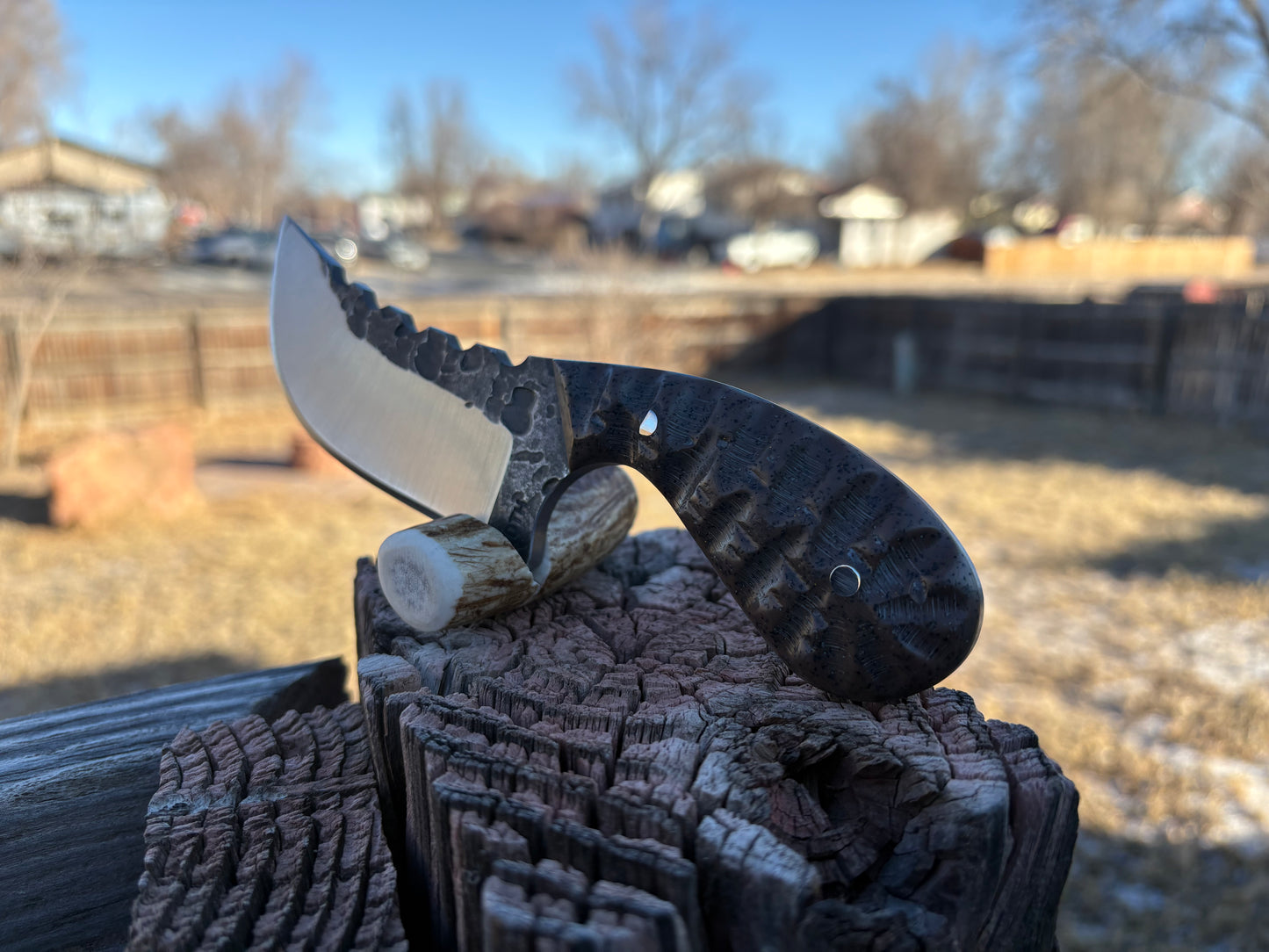 #216 - Round Palm Skinner