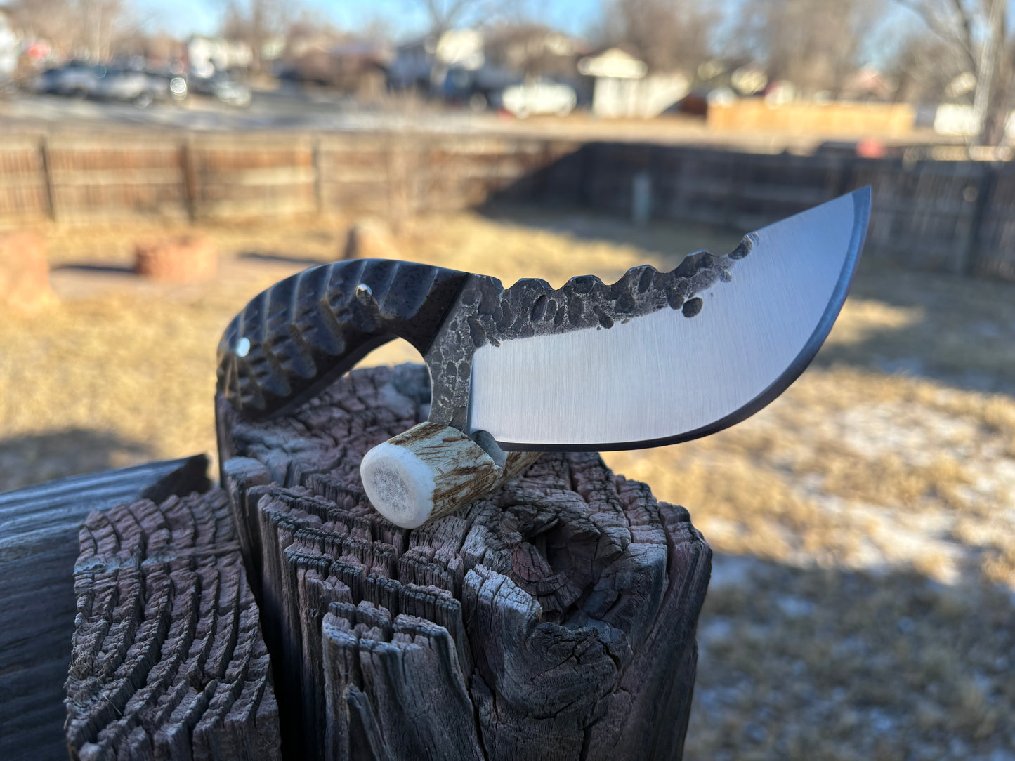 #216 - Round Palm Skinner