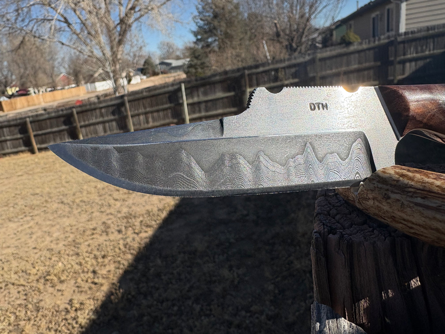 #223 San Damascus Bowie/Skinner