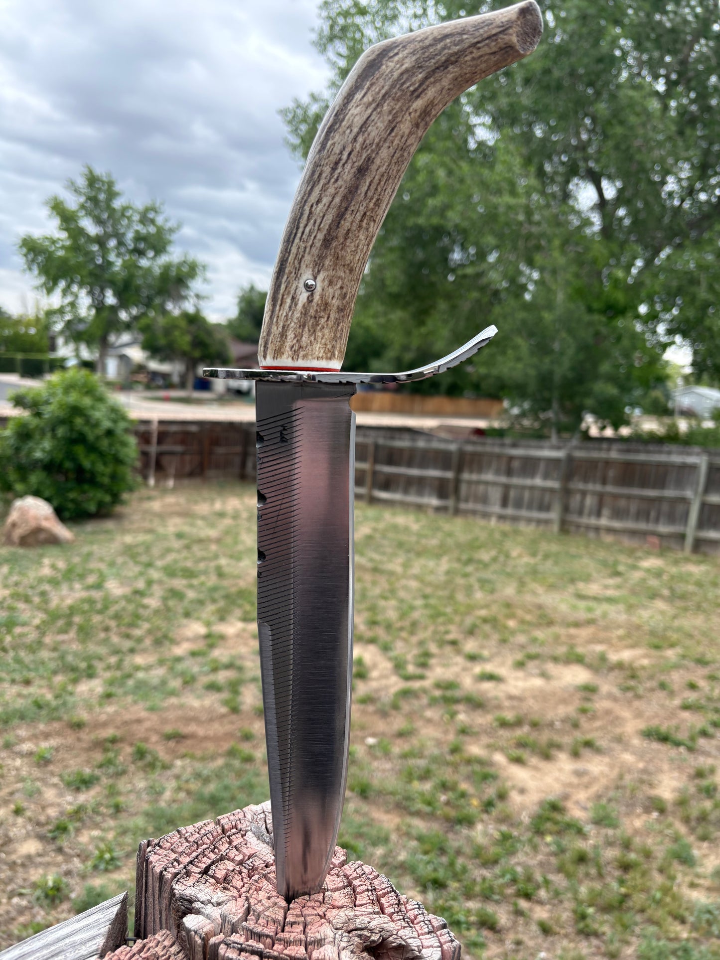 #238 Clip Point Fighter – Elk Tang Handle