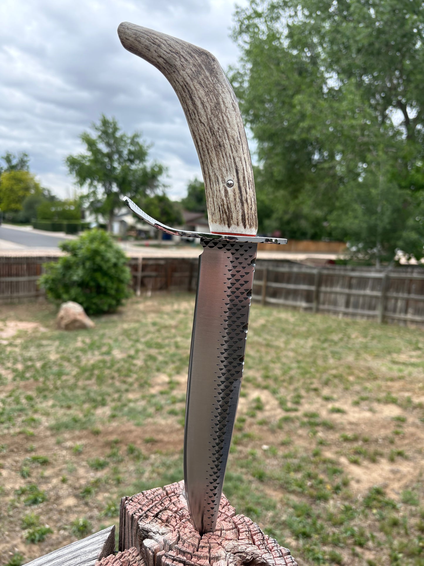 #238 Clip Point Fighter – Elk Tang Handle