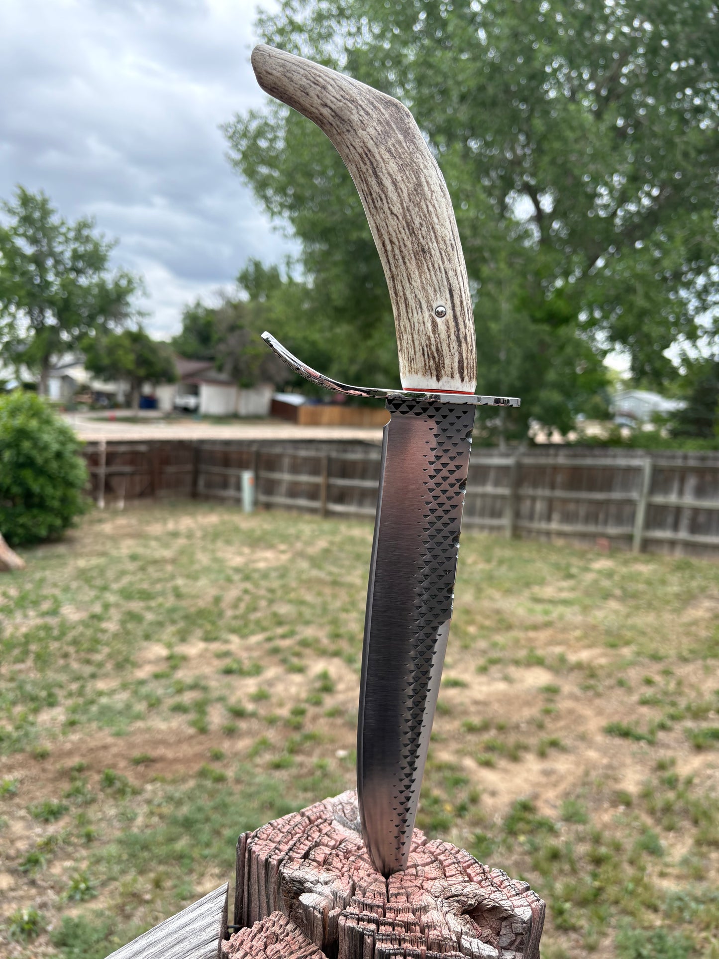 #238 Clip Point Fighter – Elk Tang Handle