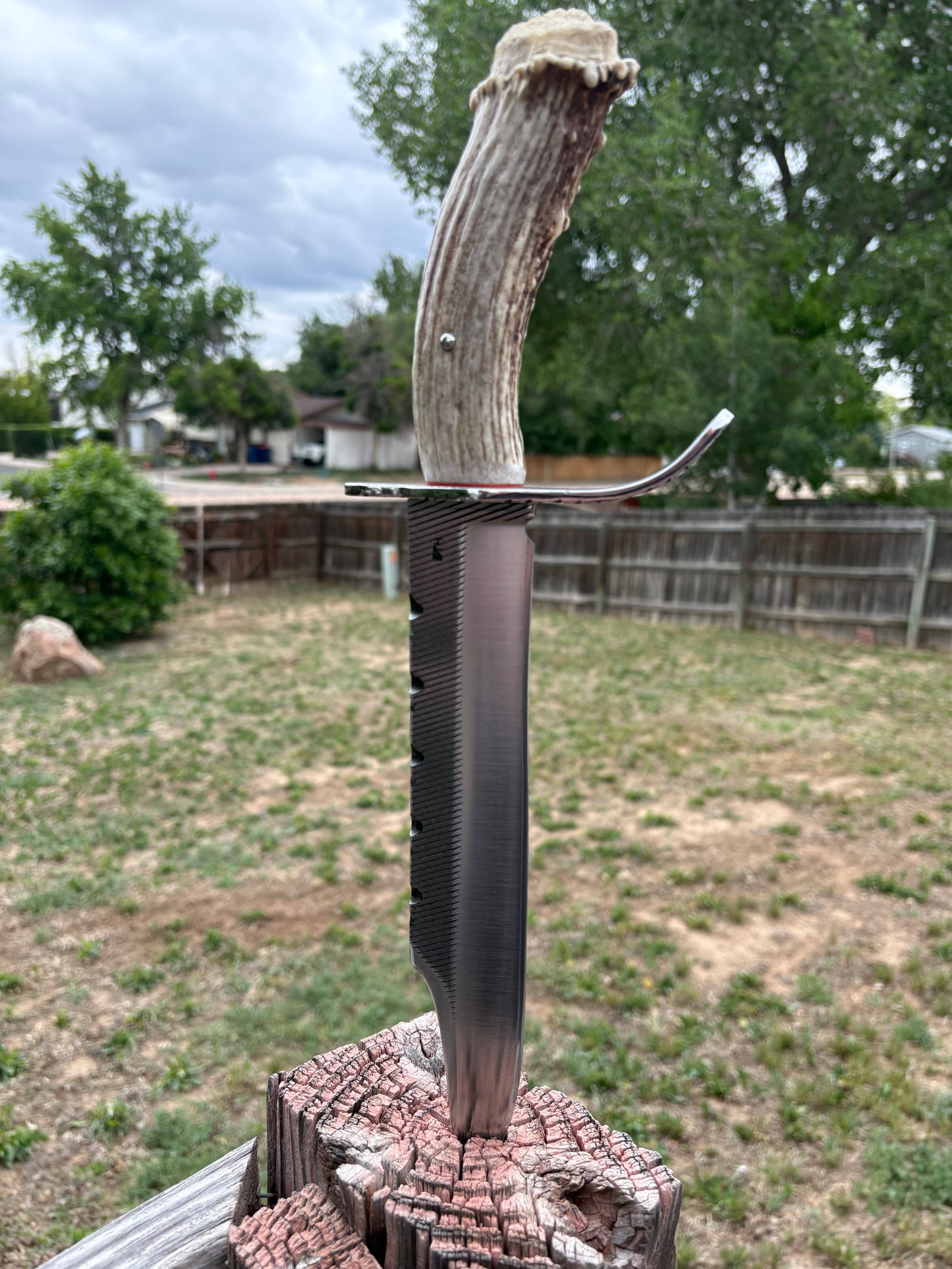 #239 - Frontier Bowie – Rasp Steel & Elk Crown