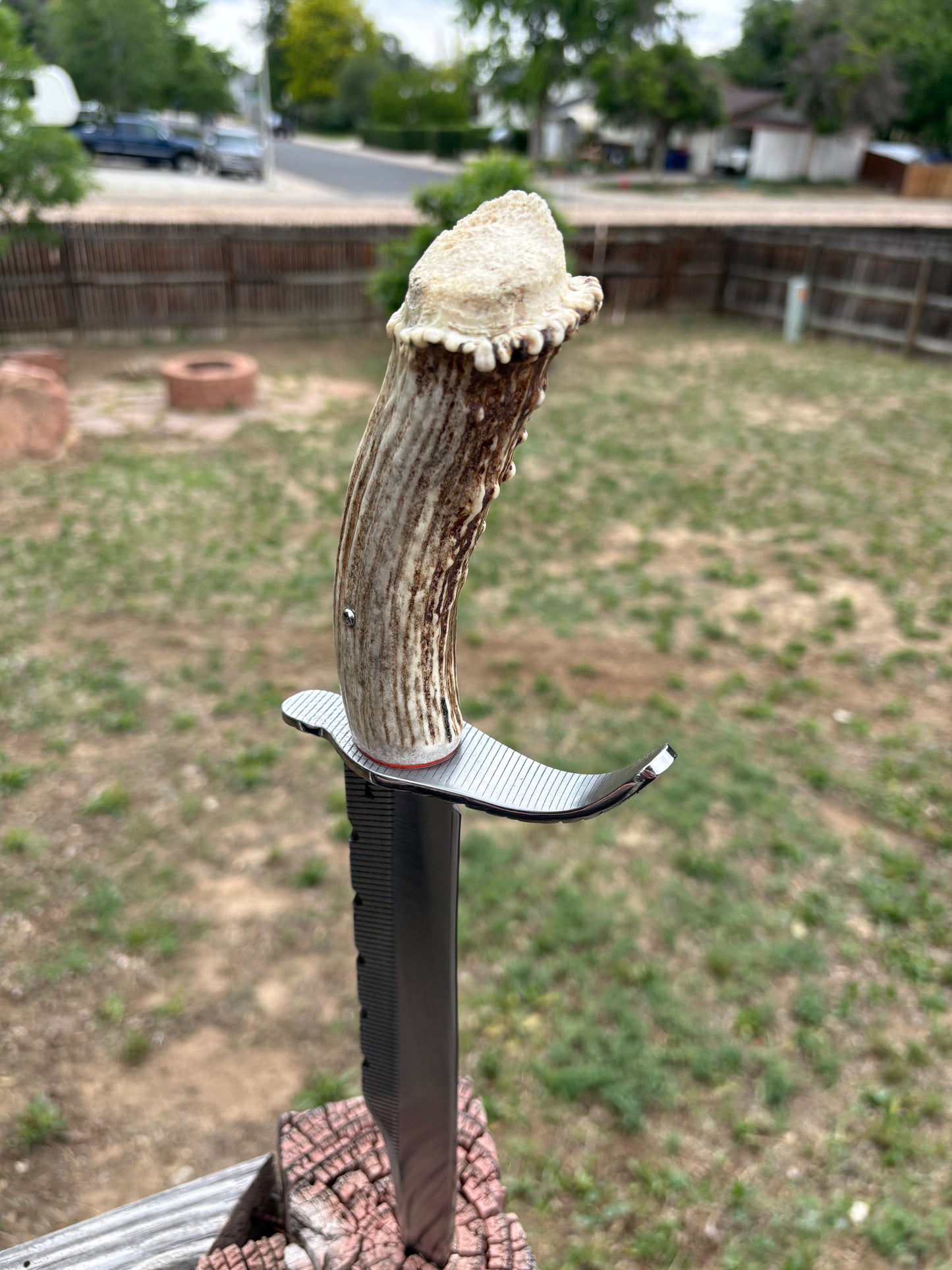 #239 - Frontier Bowie – Rasp Steel & Elk Crown