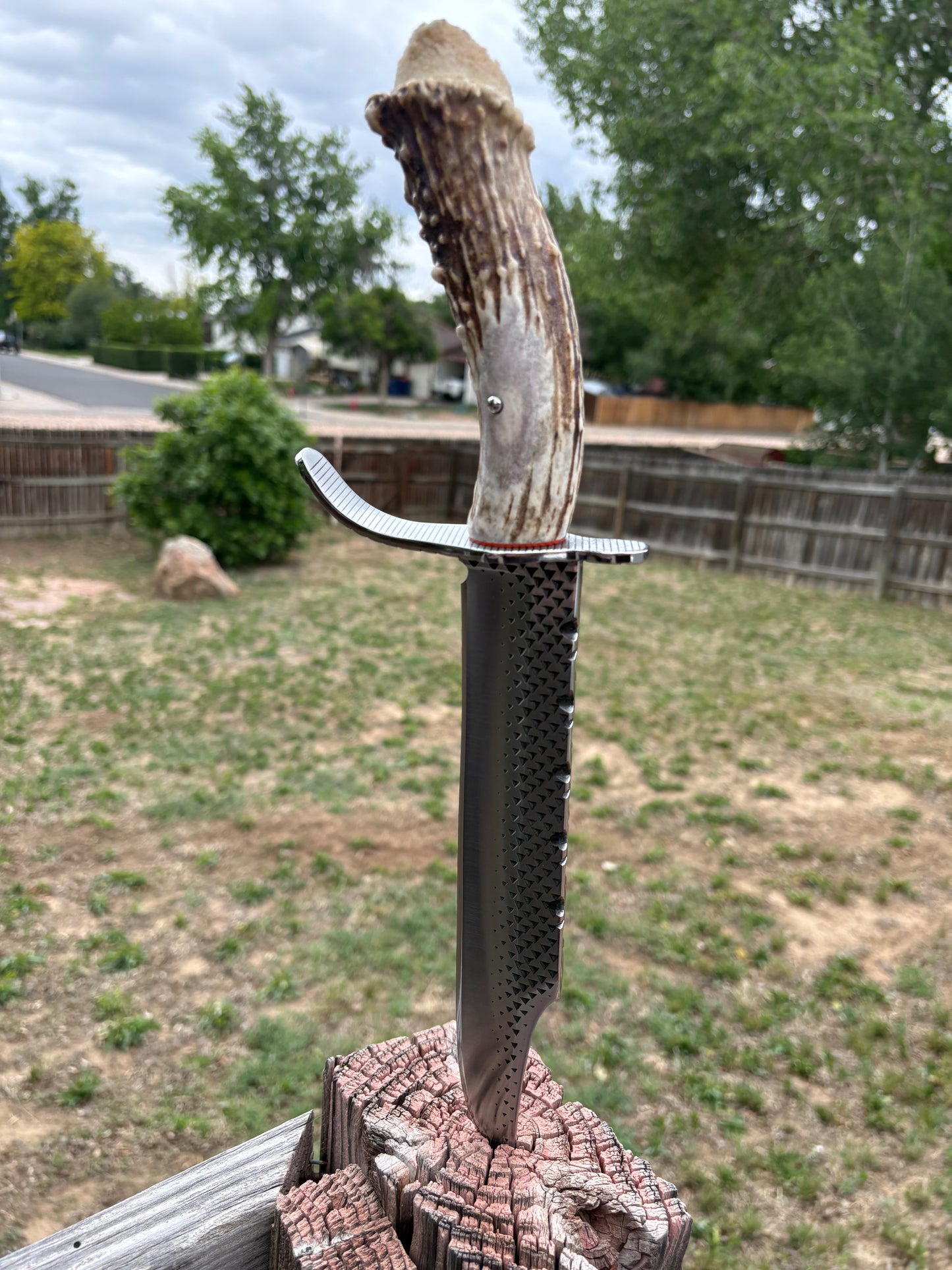 #239 - Frontier Bowie – Rasp Steel & Elk Crown