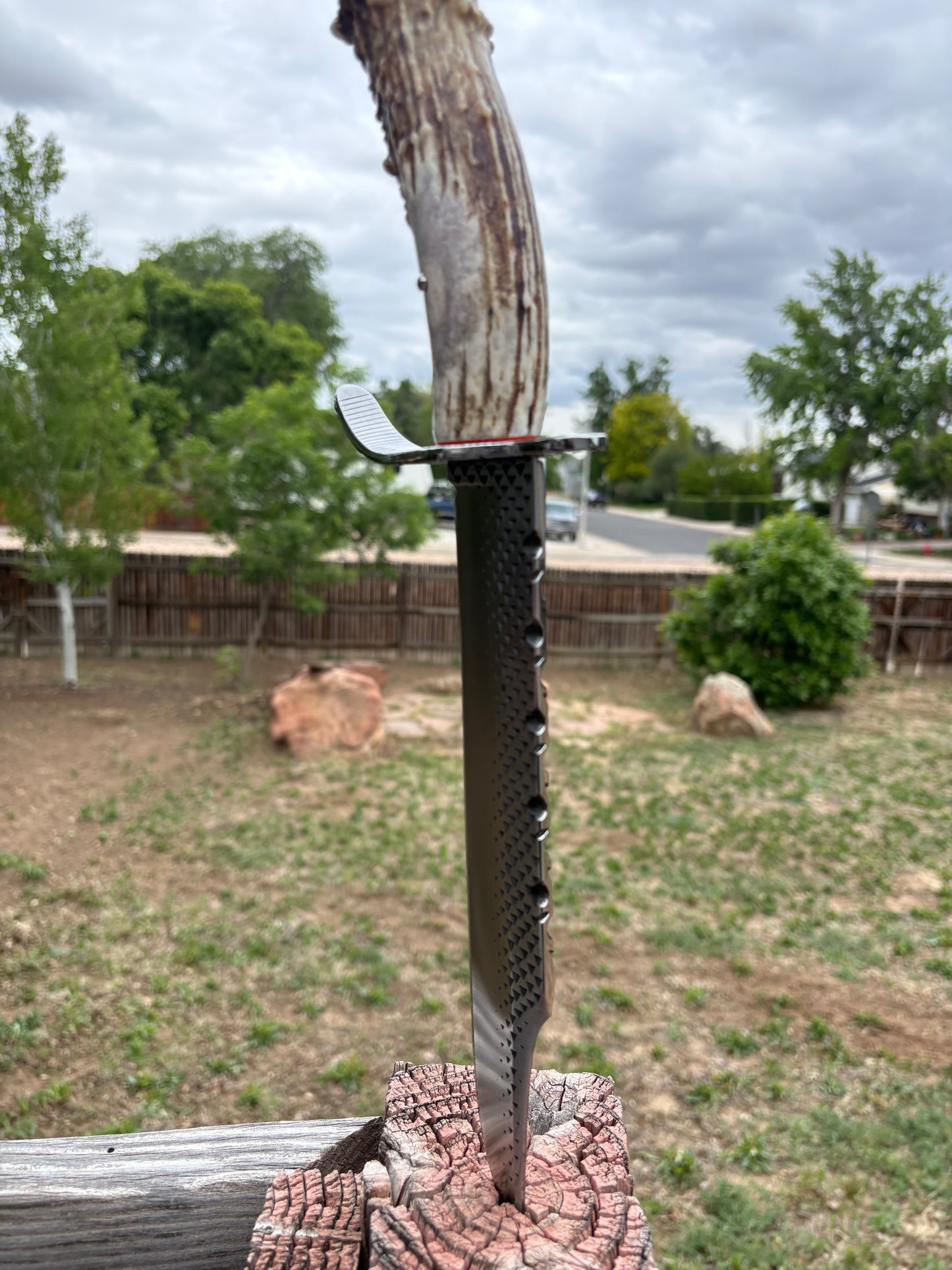 #239 - Frontier Bowie – Rasp Steel & Elk Crown