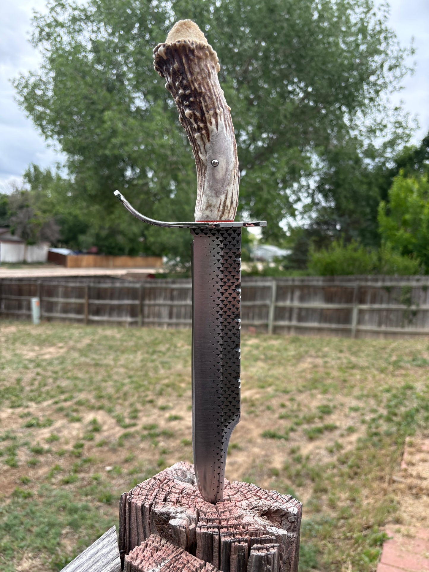 #239 - Frontier Bowie – Rasp Steel & Elk Crown