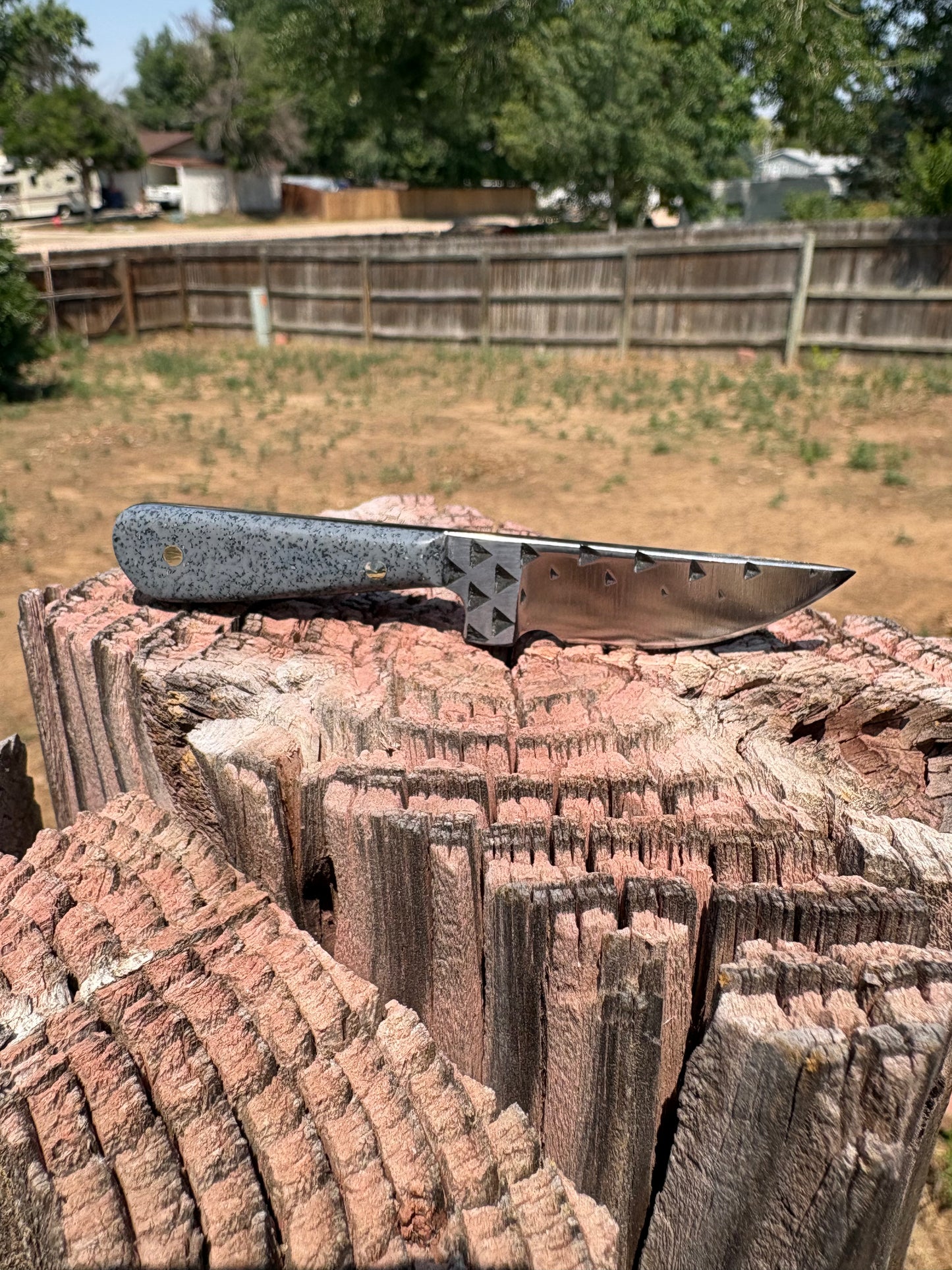 #244 THE Grey Ghost (neck knife series)