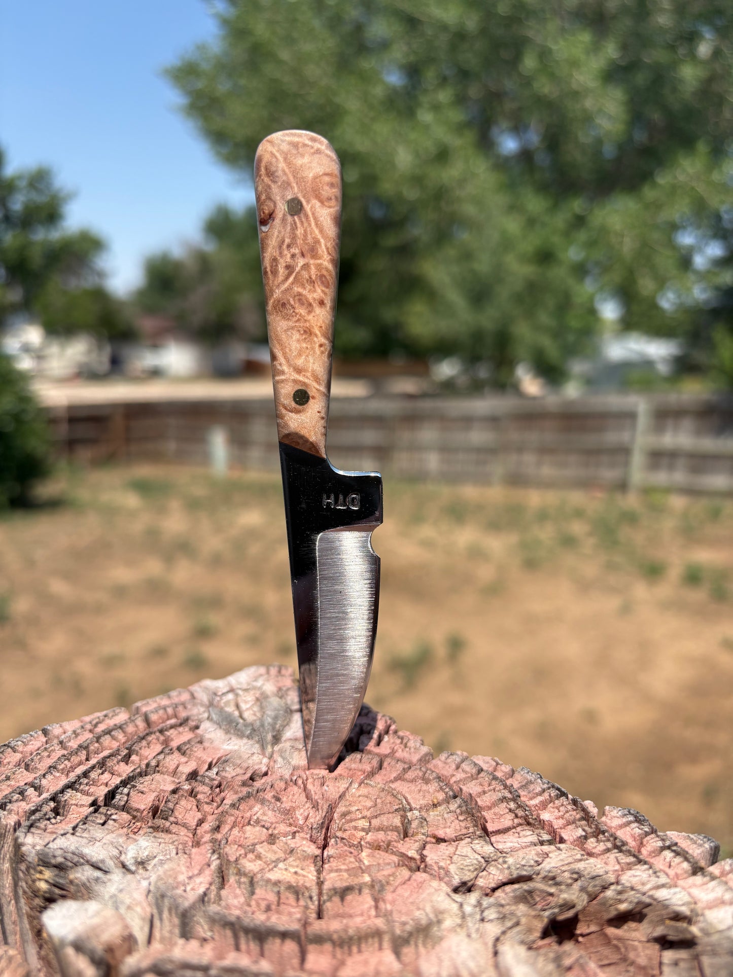 #246  THE COVENANT CLIP (neck knife series)