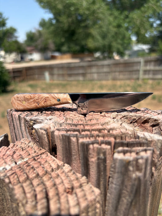 #246  The Timberline (neck knife series)