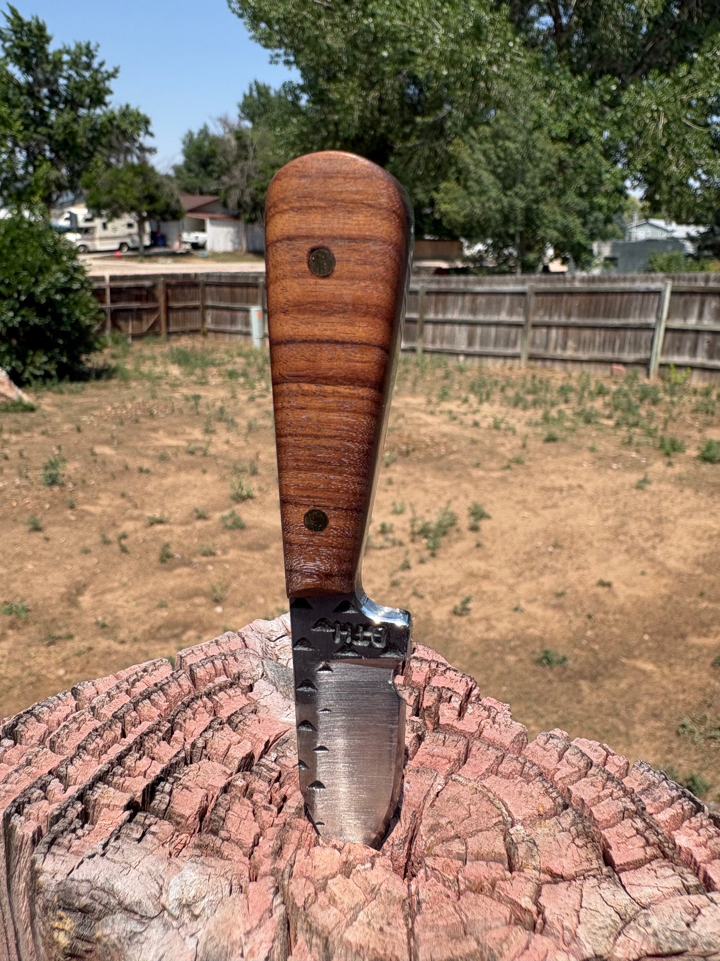 #249 The Undertakers Edge (neck knife series)