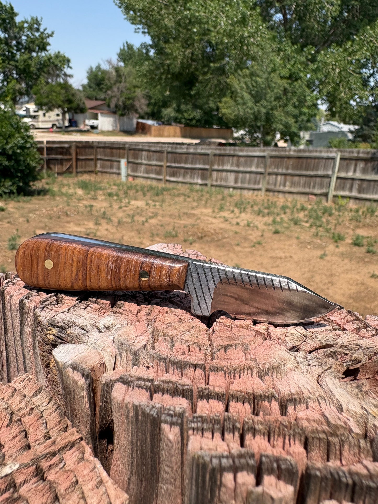 #249 The Undertakers Edge (neck knife series)