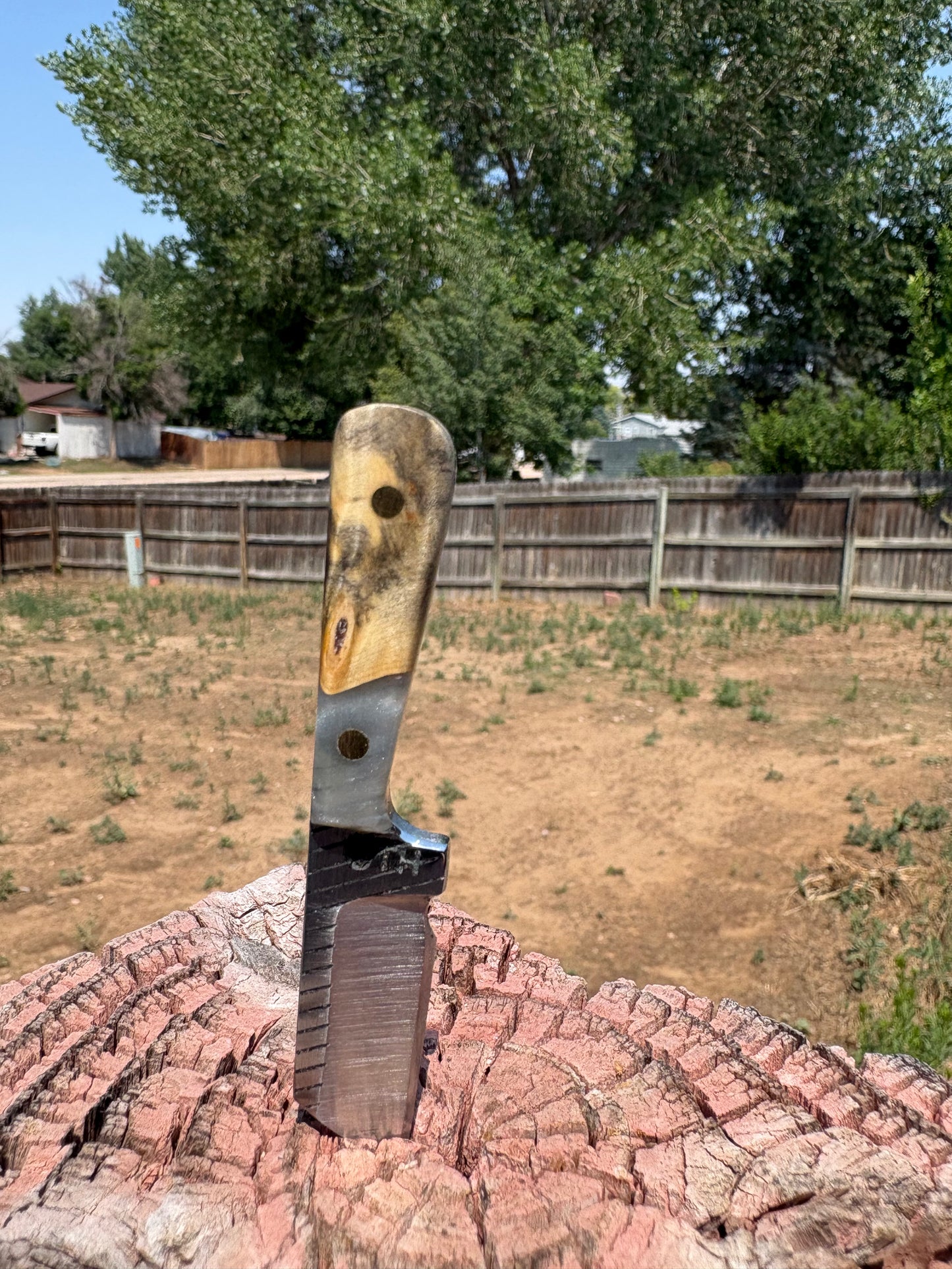 #250 - THE LIGHTBEARER SAX (neck knife series)