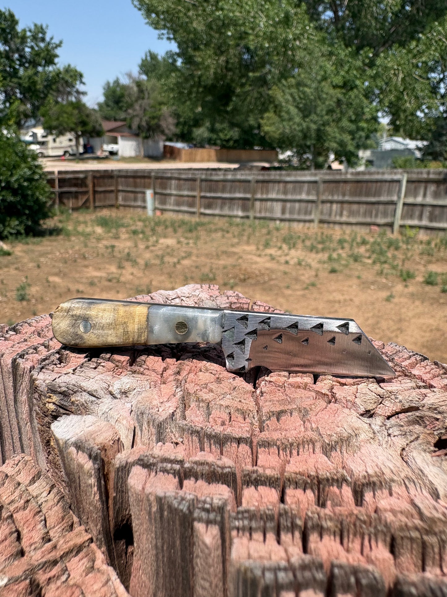 #250 - THE LIGHTBEARER SAX (neck knife series)