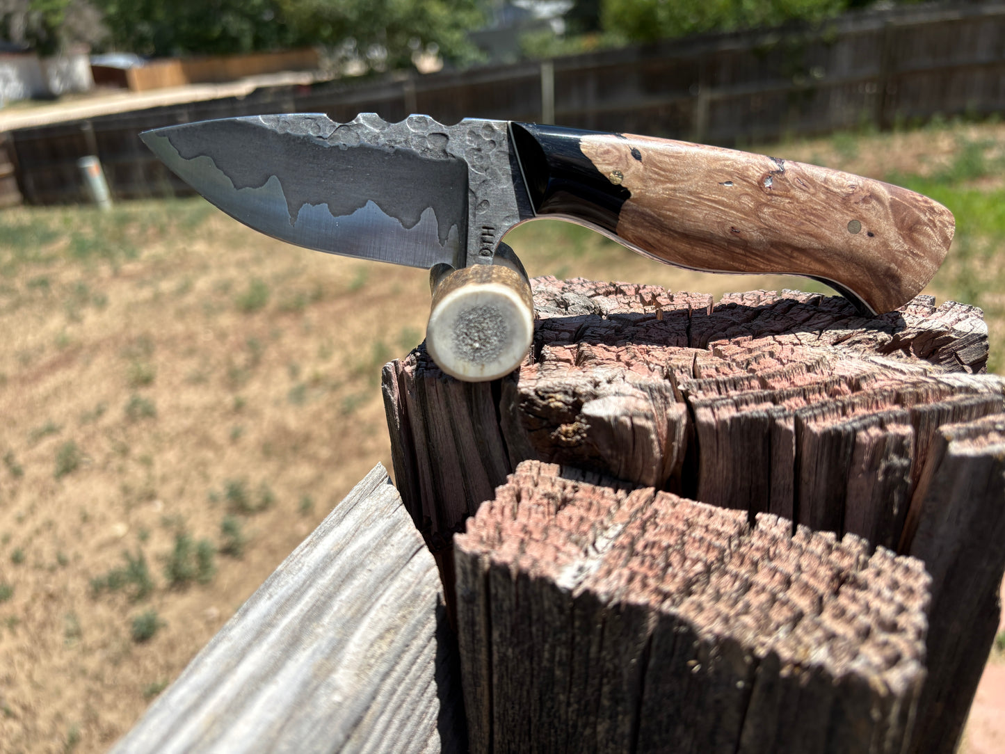 #254 - Drop Point  | San-Mai