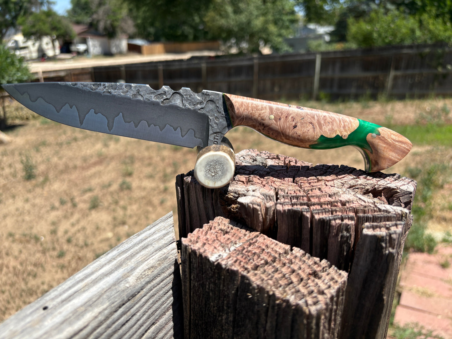 #258 Drop Point | San-Mai