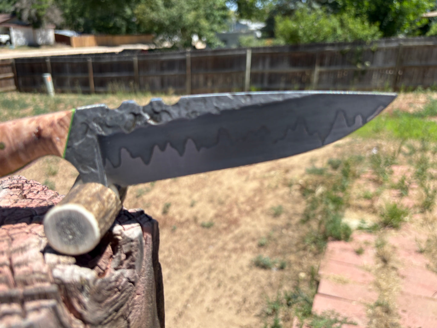 #258 Drop Point | San-Mai