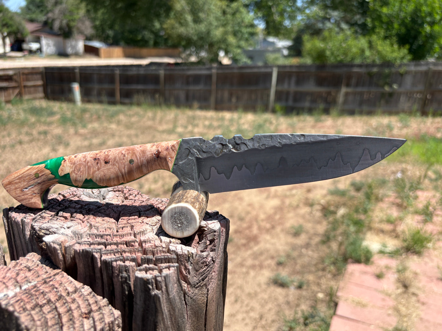 #258 Drop Point | San-Mai