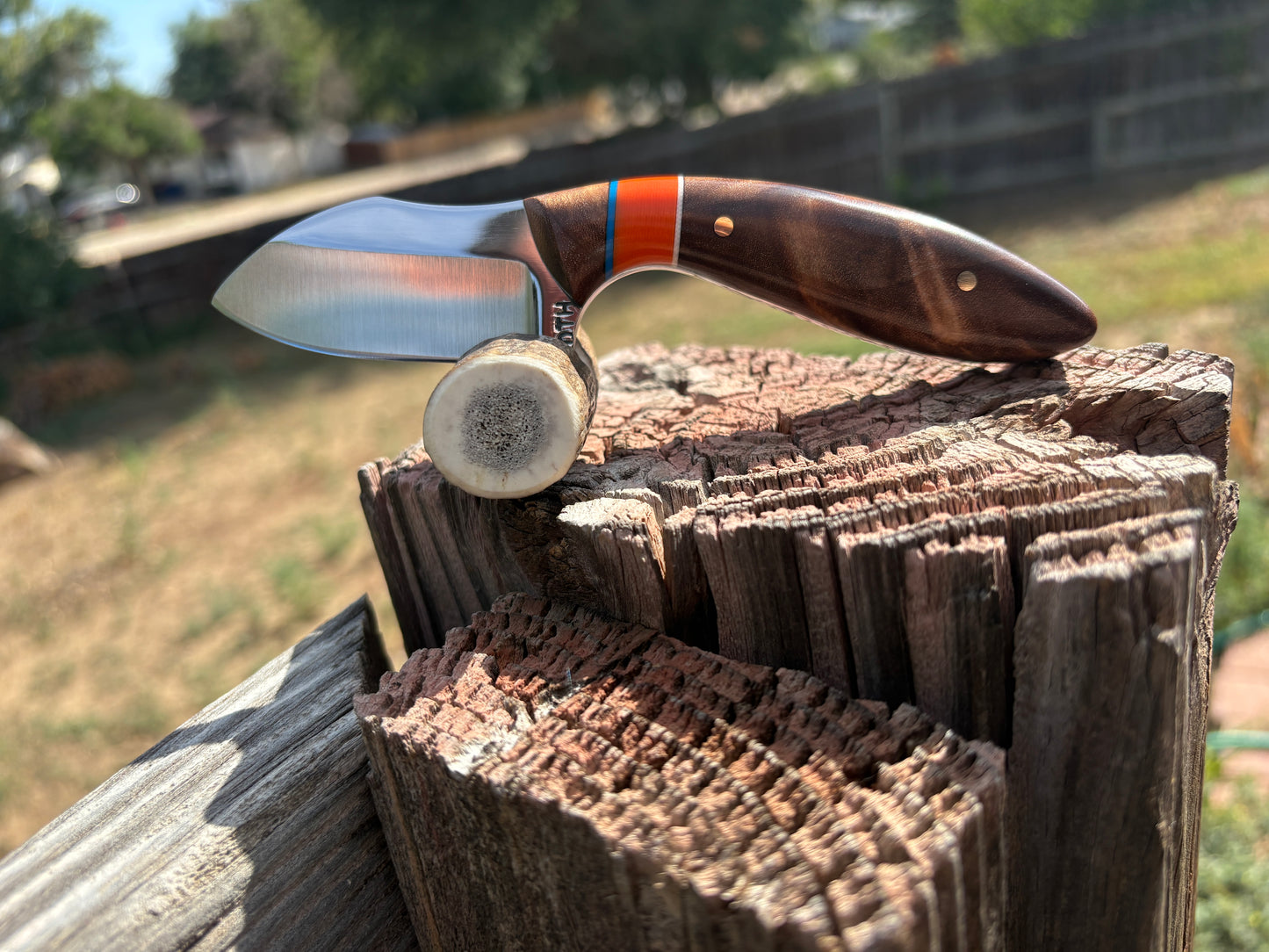 #259 Western Cowboy Cutter