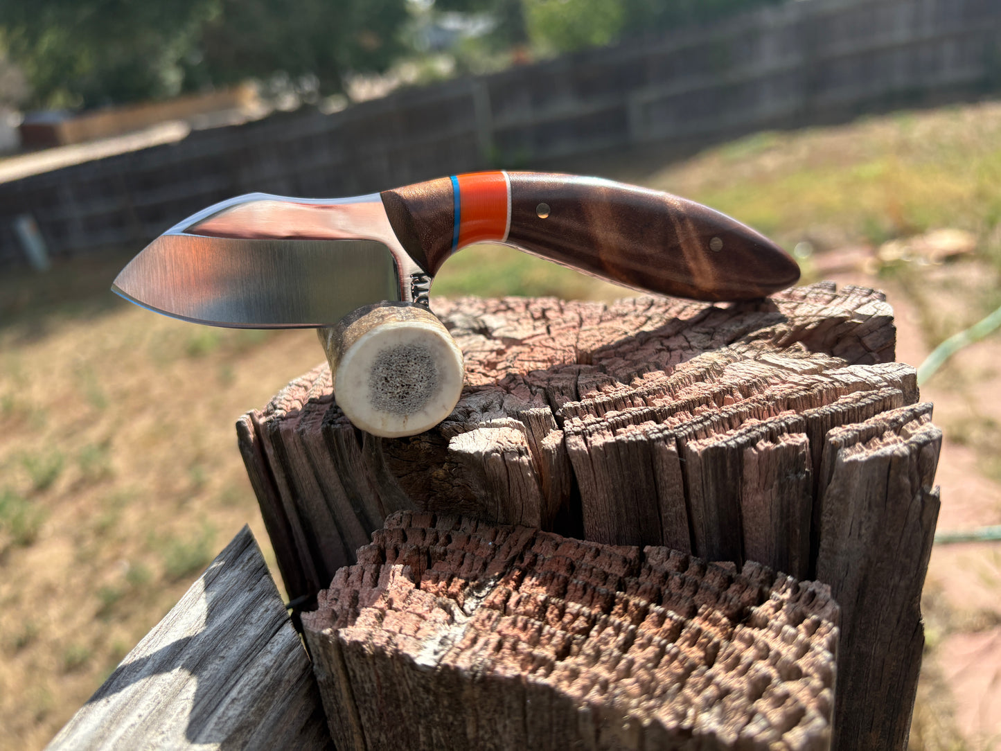 #259 Western Cowboy Cutter