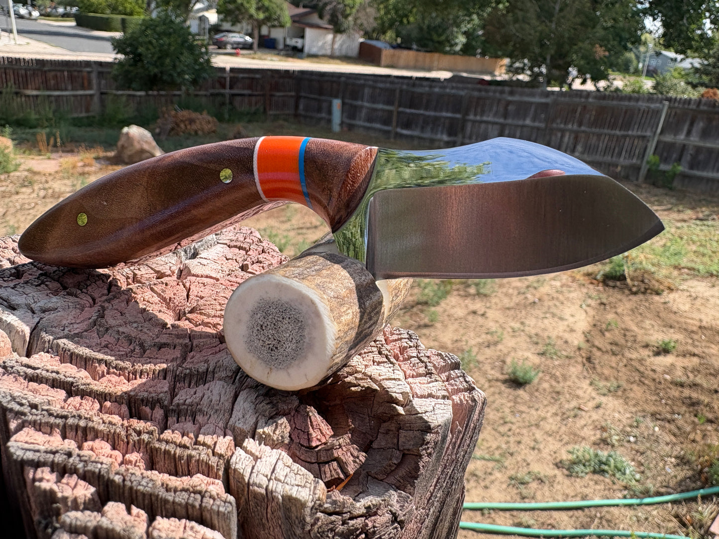 #259 Western Cowboy Cutter