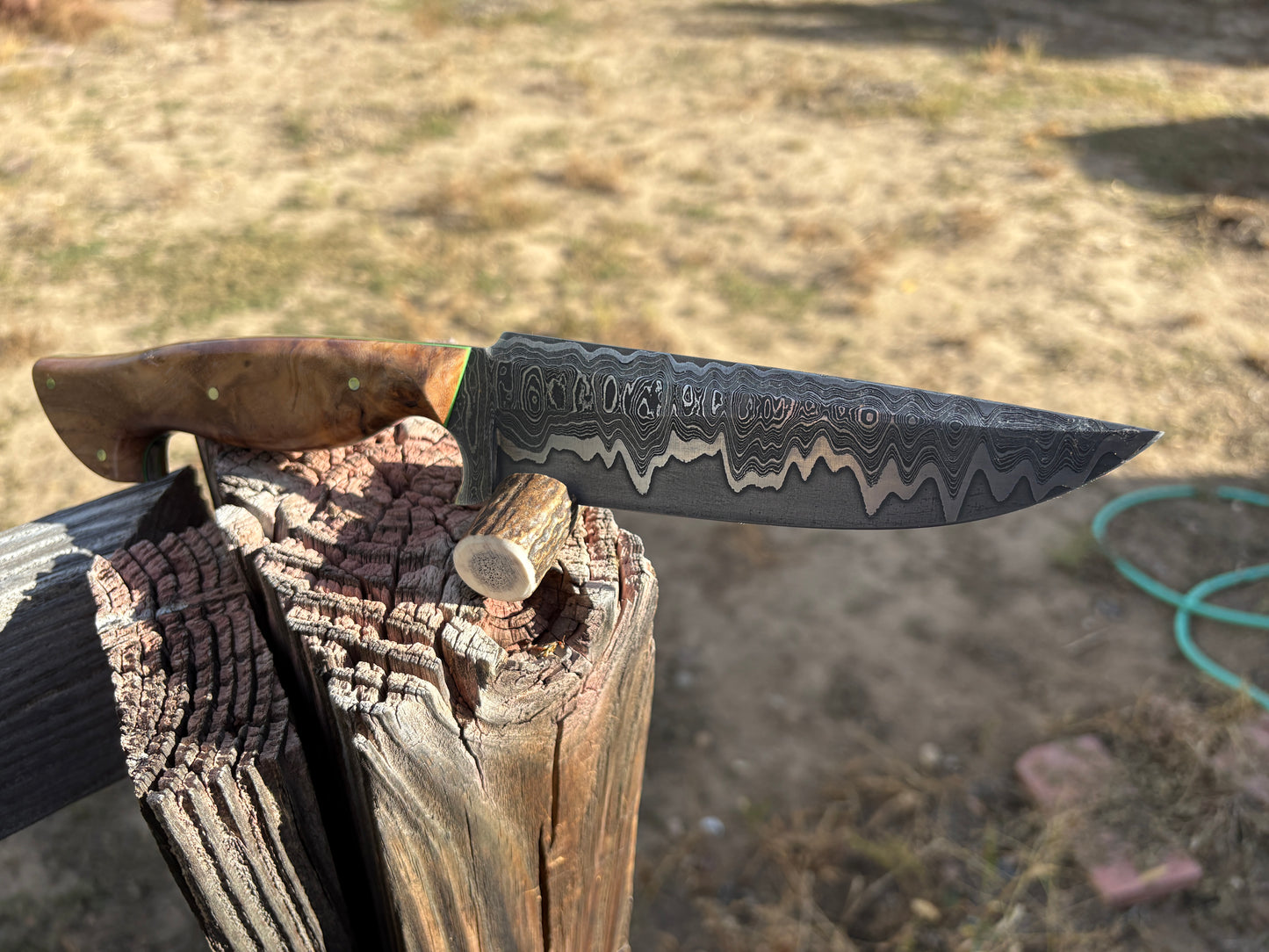 #263 San-Mascus Harpoon Fighting Knife