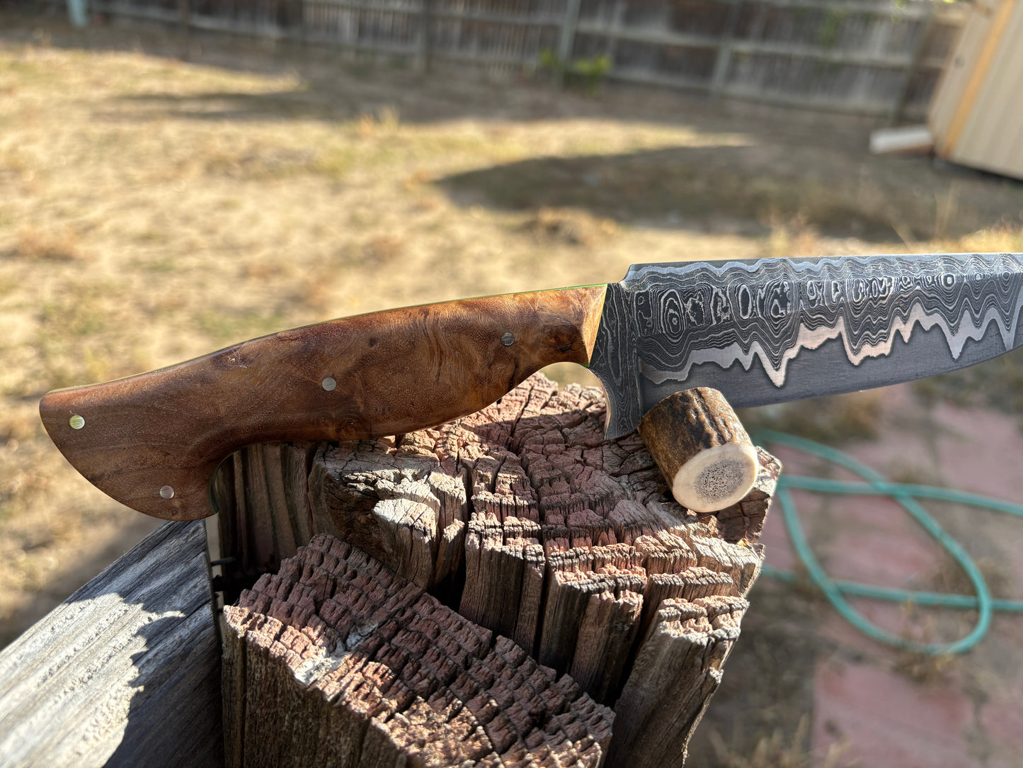 #263 San-Mascus Harpoon Fighting Knife